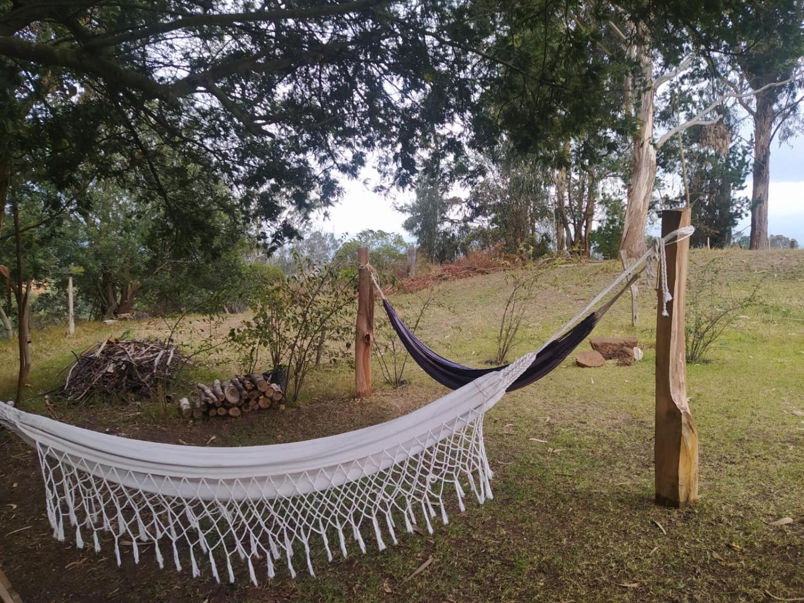 Eco-Cabana Piemonte Guasca Exteriör bild